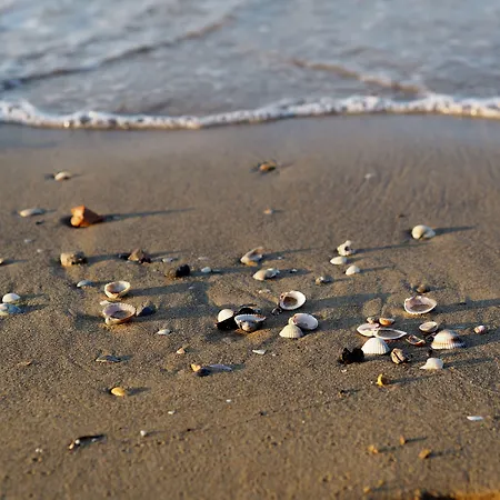 Appartamento Relax Just 150mt From The - Beahost Bibione