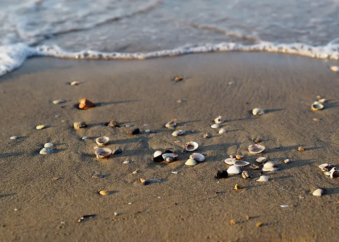 Apartman Relax Just 150mt From The - Beahost Bibione